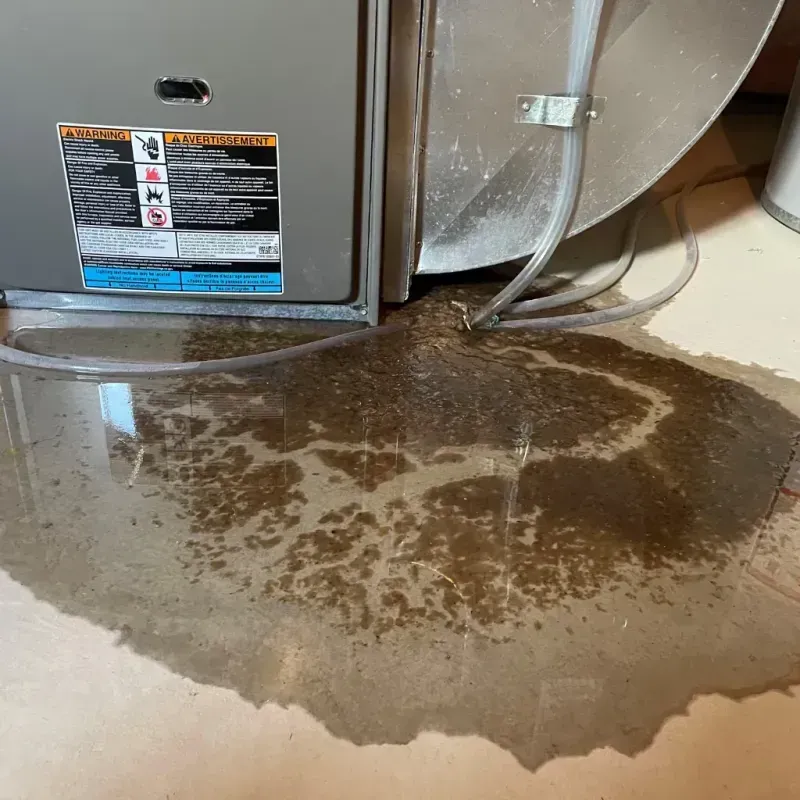 Appliance Leak Cleanup in Cathlamet, WA